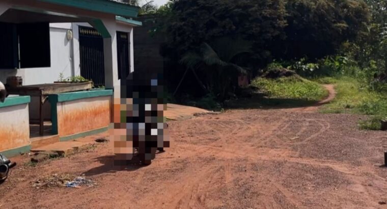 Parcelle à vendre 300m du goudron noepe cms togo