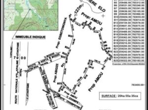 Parcelle agricole à vendre, kpélé toutou