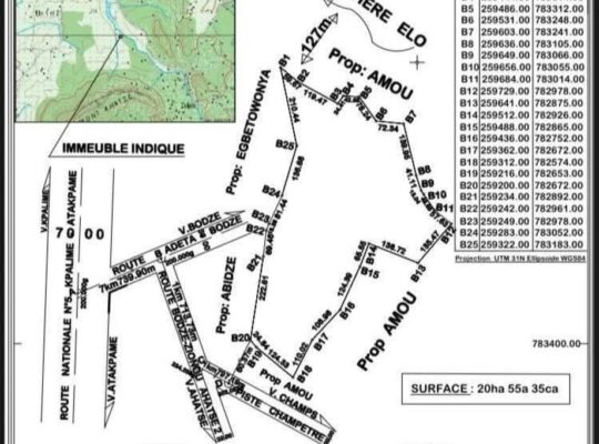 Parcelle agricole à vendre, kpélé toutou