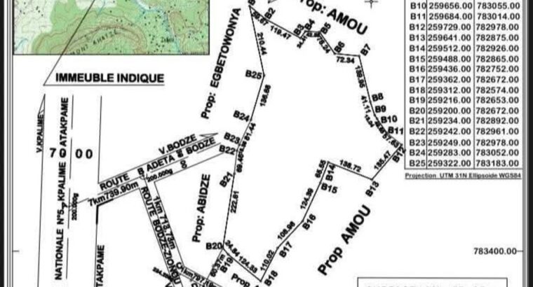 Parcelle agricole à vendre, kpélé toutou