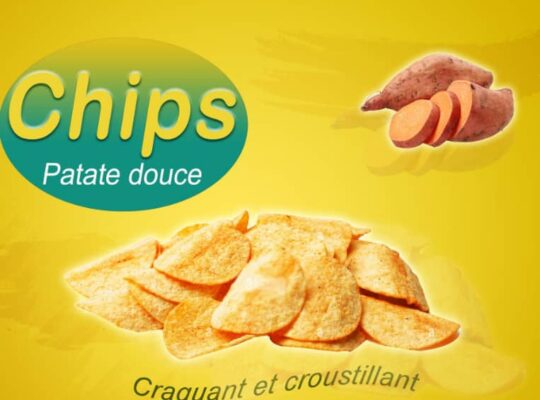 Chips de qualité