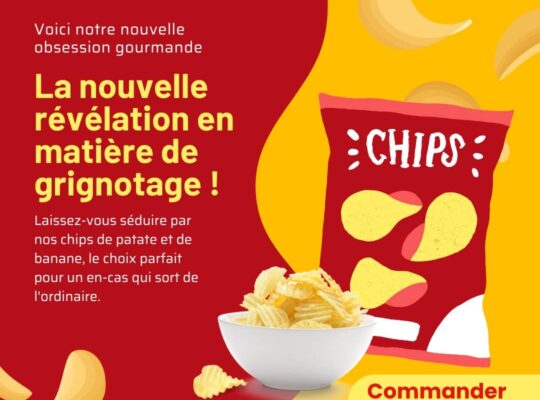 Chips de qualité