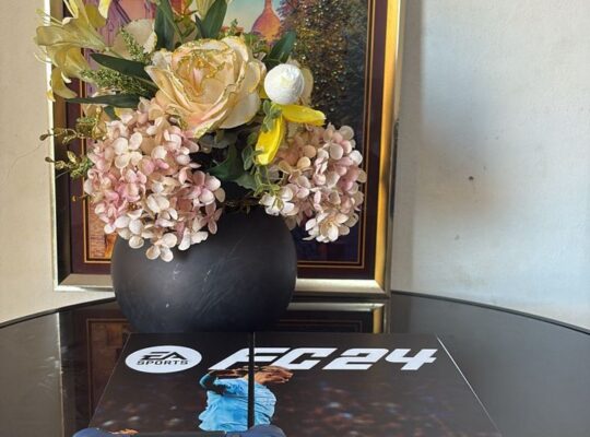 PS4 FAT AVEC UNE MANETTE ET 10 JEUX