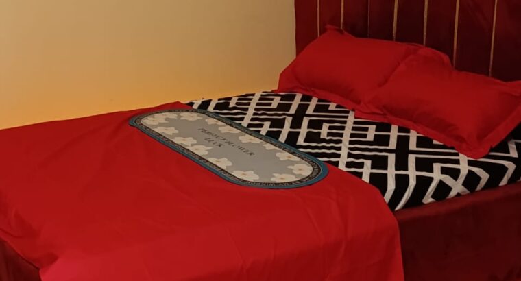 RESIDENCE MEUBLEES PROVIDENCE DIVINE