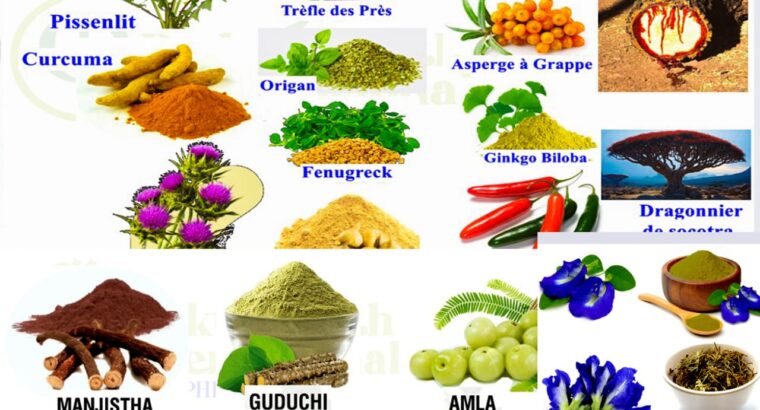 PRAKTI HEALTH INTERNATIONAL