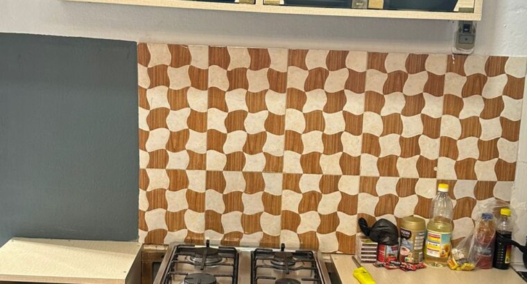 RESIDENCE MEUBLEE A CEDER