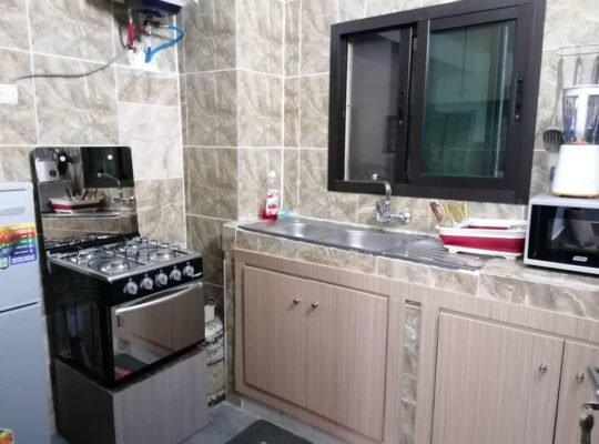 RESIDENCE MEUBLEE A CEDER