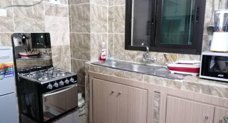 RESIDENCE MEUBLEE A CEDER